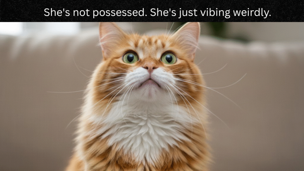 cat scratching
