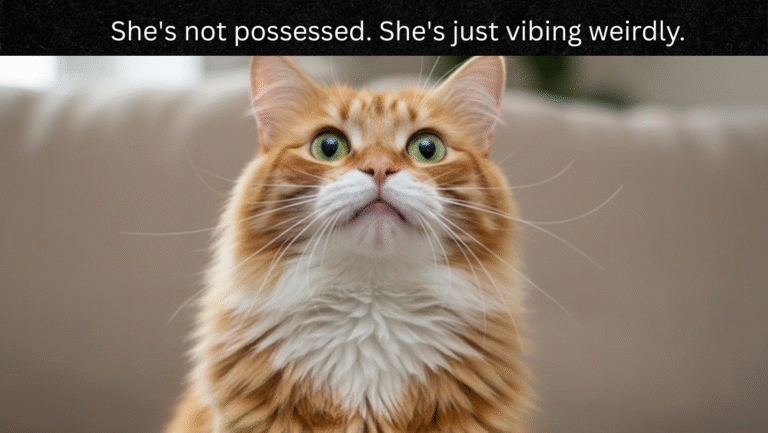 cat scratching