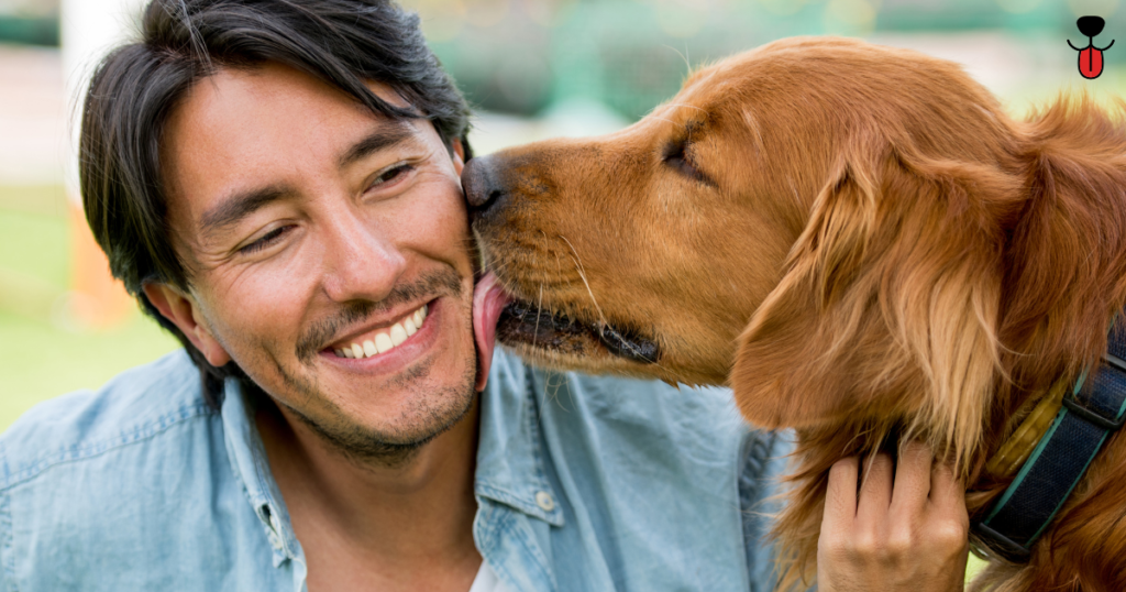 Dog Licking: 7 Surprising Reasons & When to Worry 2 Dogs Licking 1