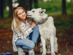 Dog Licking: 7 Surprising Reasons & When to Worry Dog Licking
