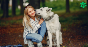 Dog Licking: 7 Surprising Reasons & When to Worry Dog Licking