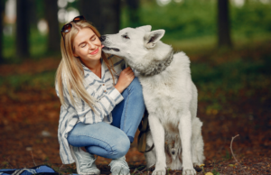 Dog Licking: 7 Surprising Reasons & When to Worry Dog Licking