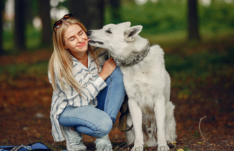 Dog Licking: 7 Surprising Reasons & When to Worry Dog Licking