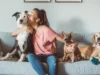 5 Best Pet Sitting Solutions for Busy Pet Owners Pet Sitting