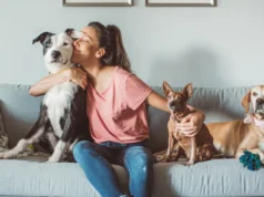 5 Best Pet Sitting Solutions for Busy Pet Owners Pet Sitting