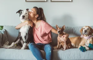 5 Best Pet Sitting Solutions for Busy Pet Owners Pet Sitting
