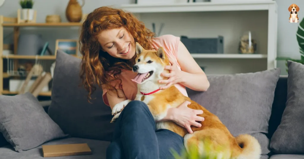 5 Best Pet Sitting Solutions for Busy Pet Owners 1 Pet Sitting 2