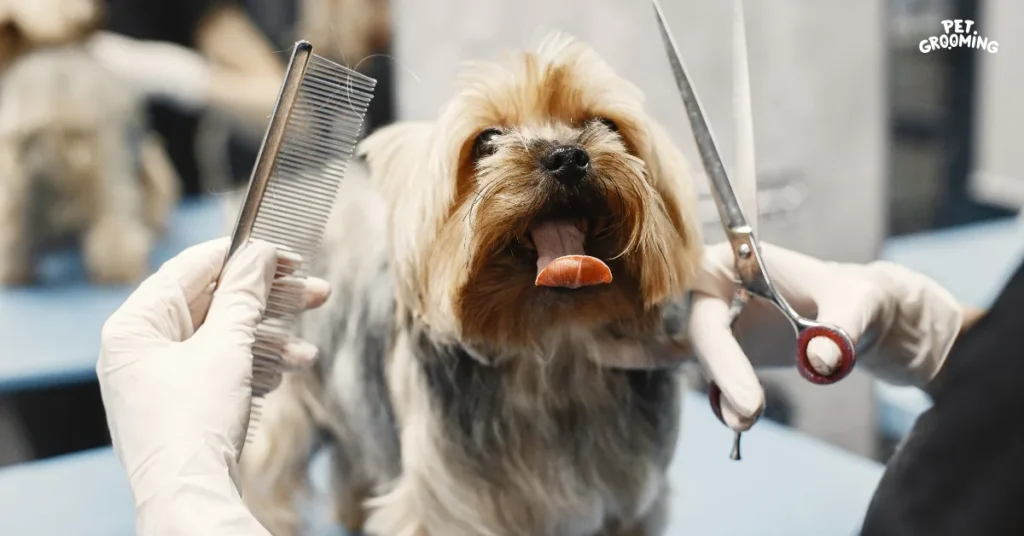Top 3 Best Pet Grooming Secrets for Better Pet Care 1 Pet grooming 2