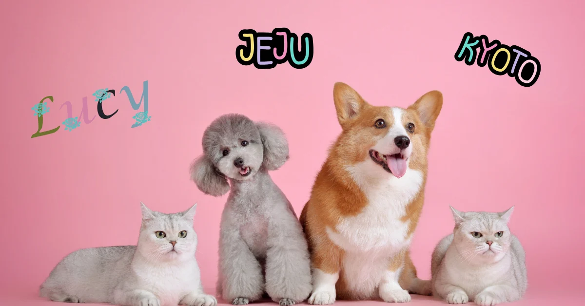Pet names 1