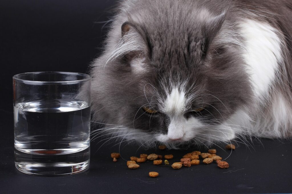 Optimizing Cat Nutrition 3 pindrive 1783505866 rO3esd
