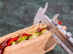 Dog Weight Loss Beginner Tips
