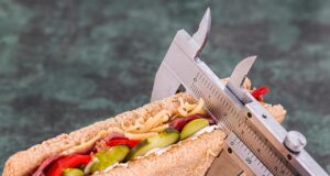Dog Weight Loss Beginner Tips