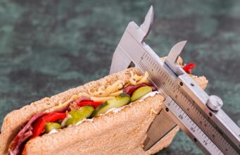 Dog Weight Loss Beginner Tips