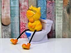 Solving Cat Litter Box Problems