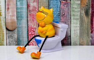 Solving Cat Litter Box Problems
