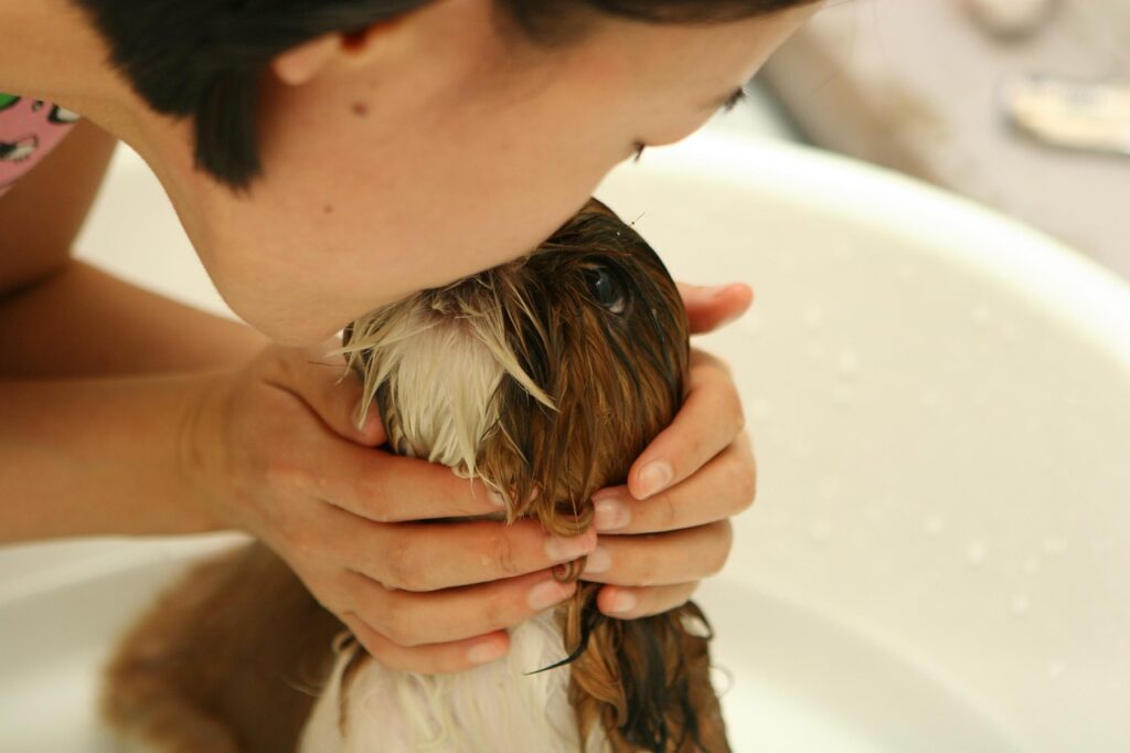 Puppy Care Myths Debunked 3 pindrive 1783762808 thmWh4