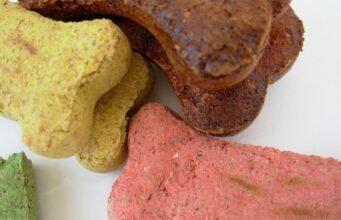Debunking Puppy Food Myths