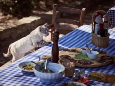 Best Cat Food for Optimal Health