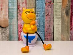 Best Cat Litter for Odor Control