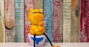 Best Cat Litter for Odor Control
