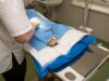 Cat Health Problems: A Step-by-Step Guide