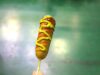 Debunking Myths: Choosing the Best Dog Food