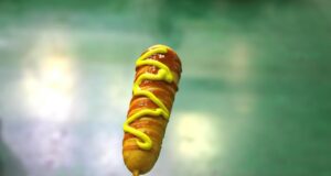 Debunking Myths: Choosing the Best Dog Food