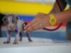 Dog Health Essentials