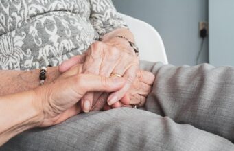Senior Cat Care Myths Debunked