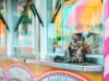 Debunking Myths: Best Cat Food