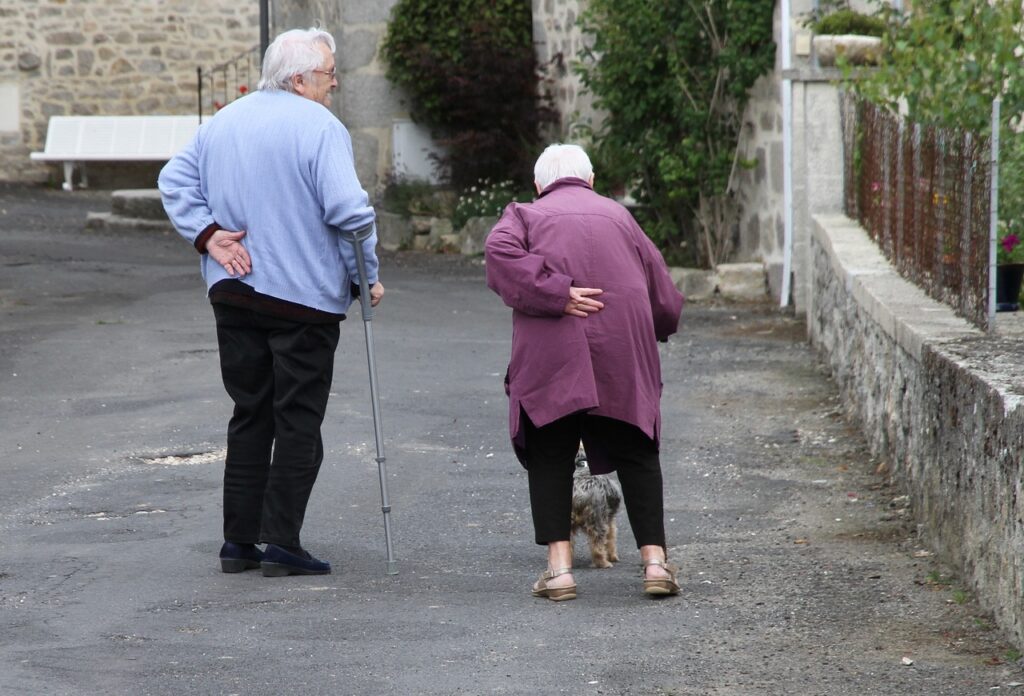 Debunking Senior Cat Care Myths 3 pindrive 1784934851 0xEktG