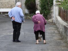 Debunking Senior Cat Care Myths