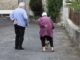 Debunking Senior Cat Care Myths