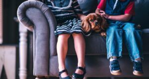 Dog Shoes: Essential Protection for Your Pet