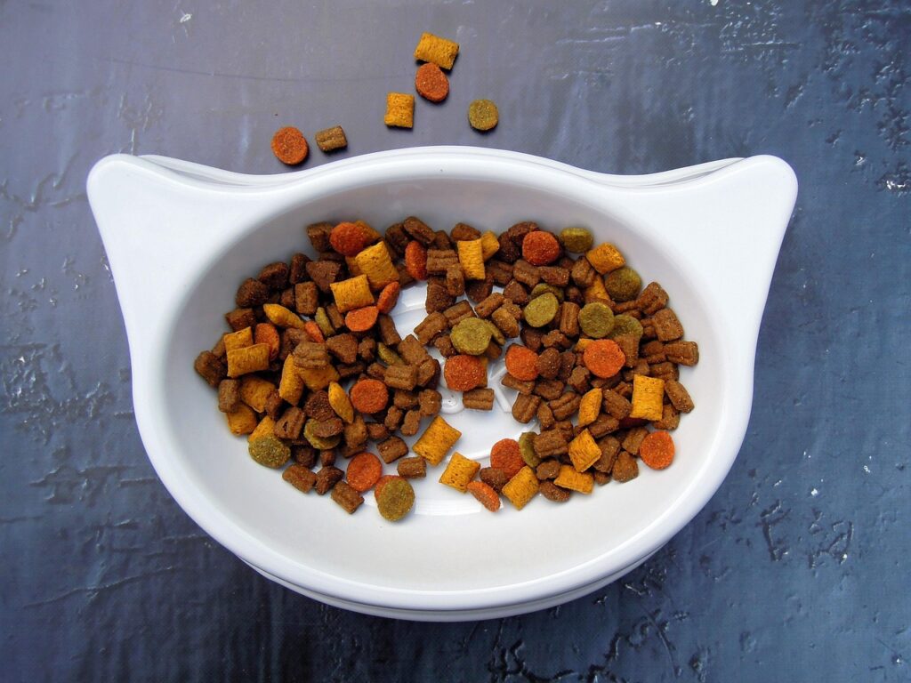 Best Cat Food: Common Mistakes to Avoid 3 pindrive 1785216963 zUvwVk