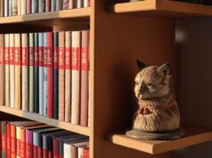 Cat Training Beginner Tips