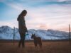 Wireless Dog Fence Systems 2026
