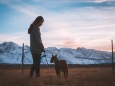 Wireless Dog Fence Systems 2026