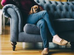 Protect Paws with Dog Shoes