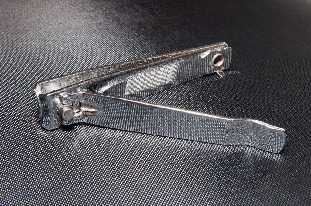 Dog Nail Clippers: An Honest Take On Grooming 3 pindrive 1785852149 f8Fb1I
