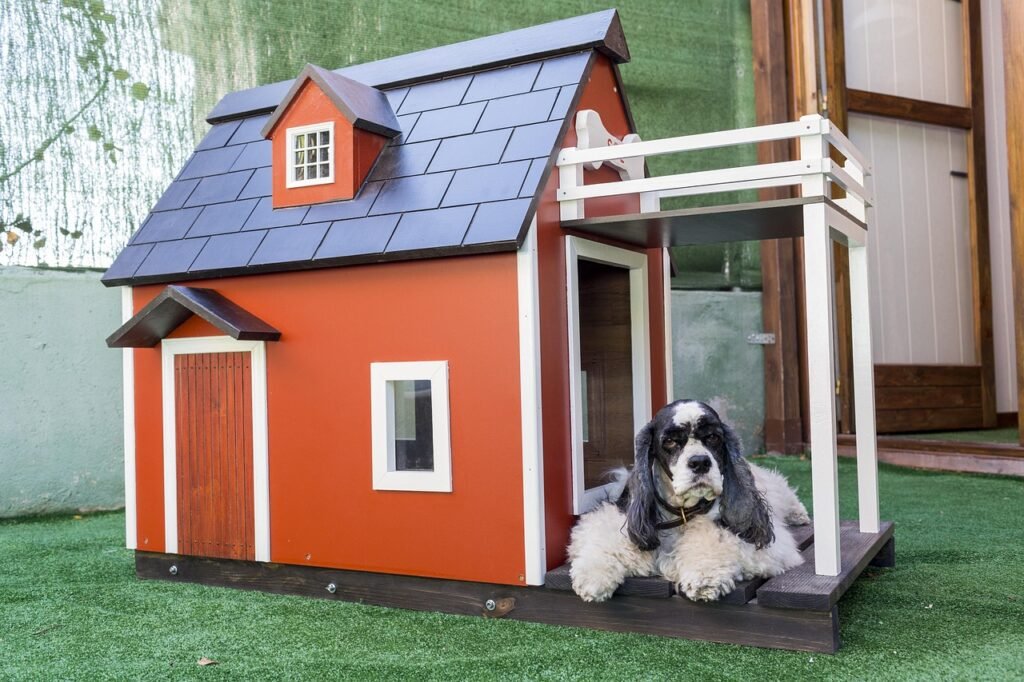 Drontal for Dogs: Quick Wins for Pet Owners 3 pindrive 1786283058 wd1iE1