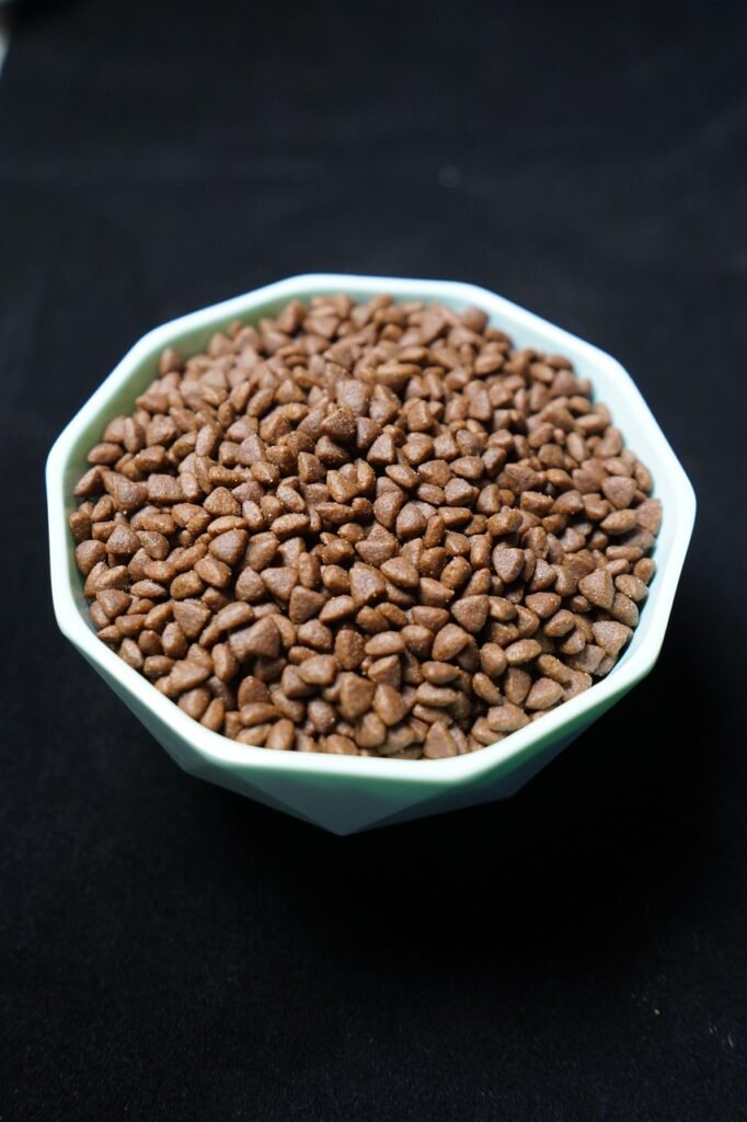 Best Dog Food: Nutritional Guide for Pet Owners 3 pindrive 1786801439 NDAeW5